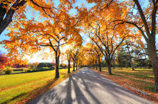 Pretty Fall Road